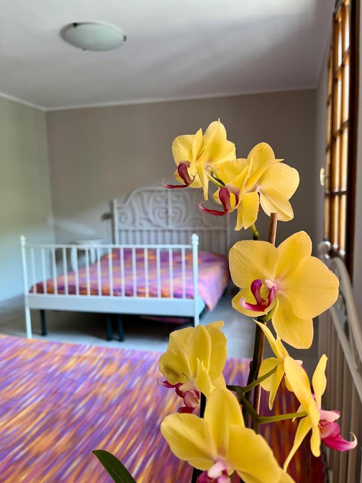 B&B Aria Di Lago ปาราติโค ภายนอก รูปภาพ